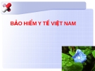 BẢO HIỂM Y TẾ VIỆT NAM.