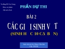 Bài giảng CÁC GIỚI SINH VẬT