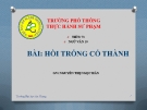 Bài: HỒI TRỐNG CỔ THÀNH