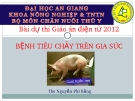 BỆNH TIÊU CHẢY TRÊN GIA SÚC