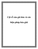 Cội rễ của già hóa và các biện pháp hóa giải