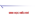 Sinh học hiếu khí