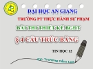 Bài thi thiết kế:  Cấu trúc bảng