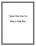 Ngắm Thác Hoa Tử Đằng ở Nhật Bản