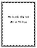 Mê mẩn sắc hồng mận chín xứ Phù Tang