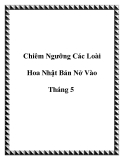 Chiêm Ngưỡng Các Loài Hoa Nhật Bản Nở Vào Tháng 5