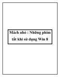 Mách nhỏ : Những phím tắt khi sử dụng Win 8