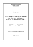 Luận văn:Hoàn thiện chiến lược marketing cho sản phẩm xi măng sông Đà Yaly