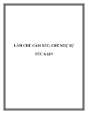 LÀM CHỦ CẢM XÚC, CHẾ NGỰ SỰ TỨC GIẬN