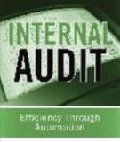 INTERNAL AUDIT: Efficiency through Automation