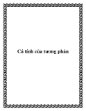 Cá tính của tương phản - không gian sống