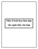 Một số loài hoa làm đẹp cho ngôi nhà của bạn