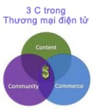 Tài liệu 3 chữ C trong thương mại điện tử