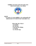 Đề tài "vai trò của thị trường tài chính đến ổn định  kinh tế vĩ mô ở việt nam hiện nay"