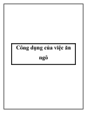 Công dụng của việc ăn ngô