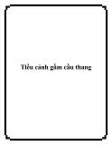 Tiểu cảnh gầm cầu thang