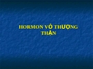 Vỏ thượng thận