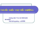 Bài giảng: Thuốc điều trị tiểu đường - ThS. Cao Thị Kim Hoàng