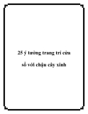 25 ý tưởng trang trí cửa sổ với chậu cây xinh