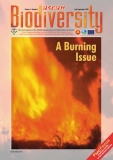 Forest Fires, A Burning Issue