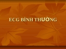 ECG bình thường