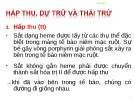 Bài giảng: CHUYỂN HÓA SẮT