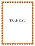 TRẦU CAU.