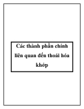 Các thành phần chính liên quan đến thoái hóa khớp