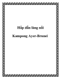 Hấp dẫn làng nổi Kampong Ayer-Brunei