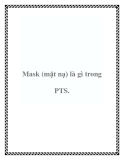 Mask (mặt nạ) là gì trong PTS.