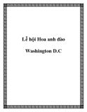 Lễ hội Hoa anh đào Washington D.C