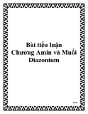 Bài tiểu luận Chương Amin và Muối Diazonium