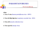  PARAMYXOVIRUSES