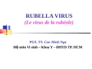 RUBELLA VIRUS (Le virus de la rubéole)