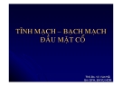 Tĩnh mạch- bạch mạch đầu và cổ