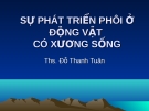 SỰ PHÁT TRIỂN PHÔI Ở ĐỘNG VẬT CÓ XƯƠNG SỐNG