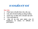 VI KHUẨN KỴ KHÍ