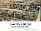 GIẢI TRÌNH TỰ DNA