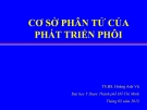 CƠ SỞ PHÂN TỬ CỦA PHÁT TRIỂN PHÔI