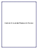 Cách tải về và cài đặt Windows 8.1 Preview