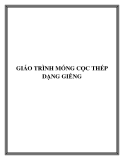 GIÁO TRÌNH MÓNG CỌC THÉP  DẠNG GIẾNG