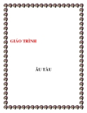 GIÁO TRÌNH ÂU TÀU - Phan Thanh Nghị