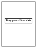 Tổng quan về Seo cơ bản