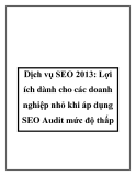 Dịch vụ SEO 2013: Lợi ích dành cho các doanh nghiệp nhỏ khi áp dụng SEO Audit mức độ thấp