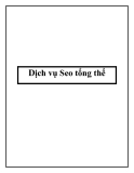 Dịch vụ Seo tổng thể