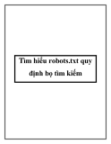 Tìm hiểu robots.txt quy định bọ tìm kiếm