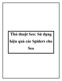 Thủ thuật Seo: Sử dụng hiệu quả các Spiders cho Seo