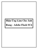 Hiệu Ứng Làm Cho Ảnh Rung - Adobe Flash SC6