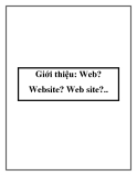 Giới thiệu: Web? Website? Web site?