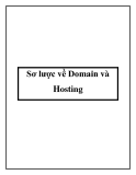 Sơ lược về Domain và Hosting